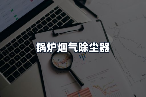 锅炉烟气除尘器