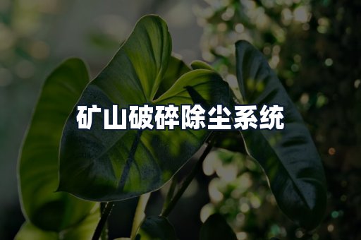 矿山破碎除尘系统