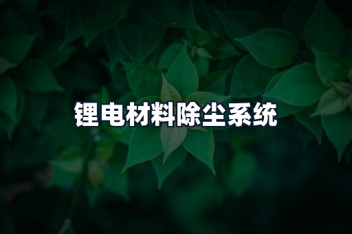 锂电材料除尘系统
